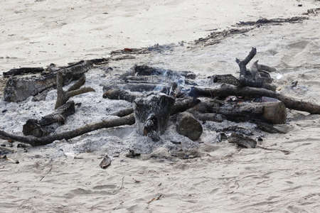 The branches fire is extinguishedの写真素材