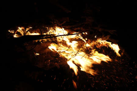 Branches set on fire photoshootの写真素材