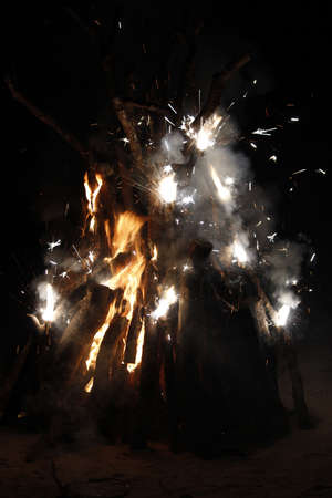 Branches set on fire with fireworksの写真素材