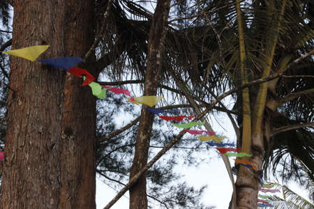 Flying bunting on the treesの写真素材