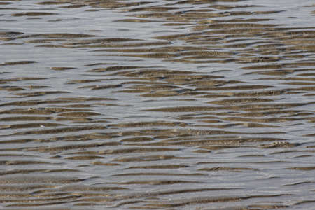 Low tide beach close-up viewの写真素材