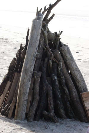 A pile of big branch at beachの写真素材