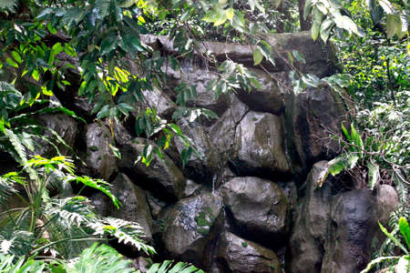 Mini Waterfall at Malaysiaの写真素材