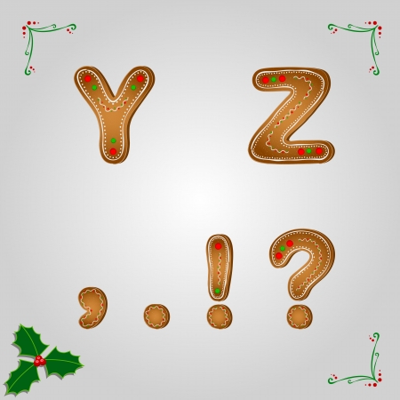 Christmas gingerbread letters y z and punctuation marksのイラスト素材