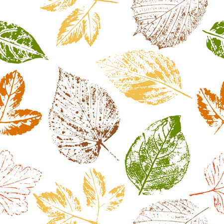 Seamless pattern of autumn leaf stamps on white background のイラスト素材