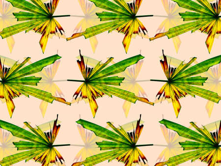 The graphic design background of leaves wilted