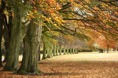 Calderstones Park. Liverpool, UK.の写真素材
