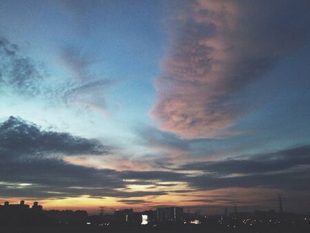 Concrete jungleの素材