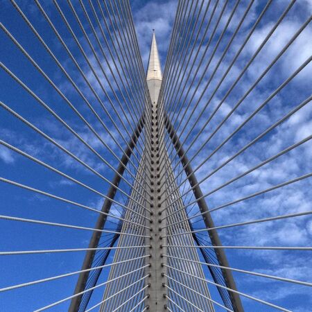 Wawasan bridgeの素材