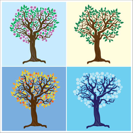 tree representing the four seasons のイラスト素材
