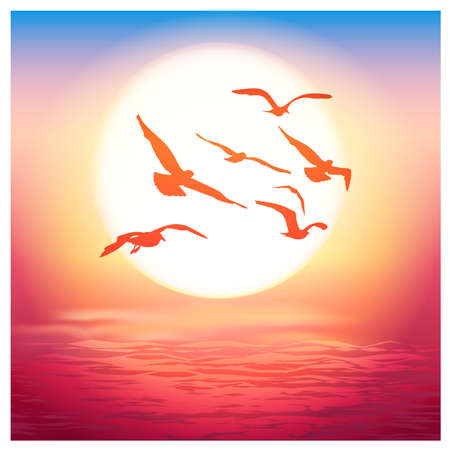 Vector illustration of sea birds at sunsetのイラスト素材