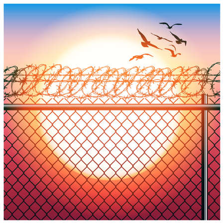 Stylized vector illustration of fence with barbed wire and flying birds in sunlightのイラスト素材