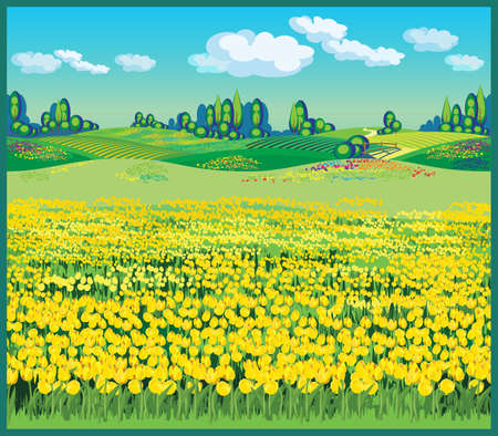 Seamless horizontally illustration of the vast fields of yellow tulips in the beautiful countrysideのイラスト素材
