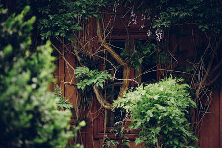 Vintage photo of a close-up of a window in an abandoned house in the forestの写真素材