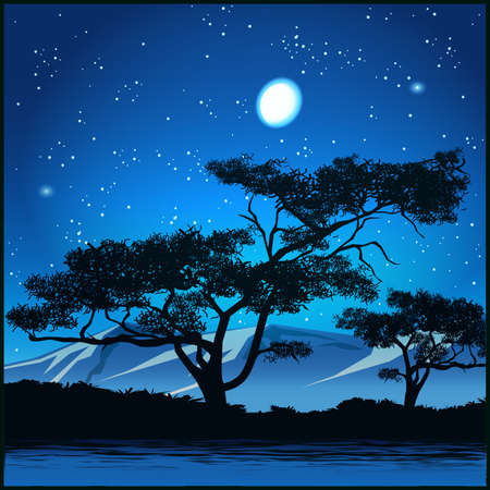 Stylized vector illustration of trees at starry nightのイラスト素材