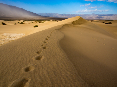 Footprints Along Ridge of Sand Dune, Death Valley Mesquite Dunesの写真素材