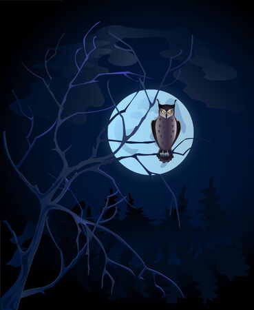 owl sits on branch on background of the full moonのイラスト素材