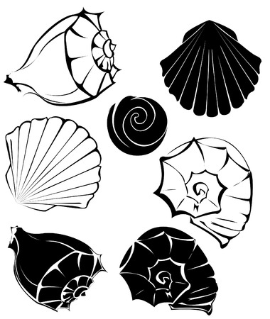 artistically painted, stylized seashells on a white background のイラスト素材