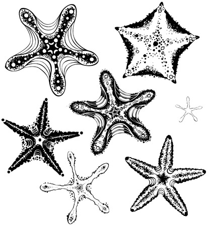 artistically painted drawn, stylized, planimetric starfishes のイラスト素材