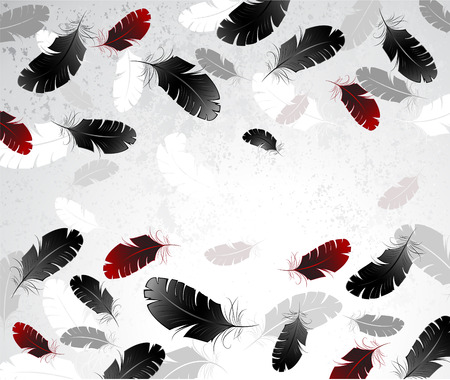 light gray, textured background feathers black and redのイラスト素材