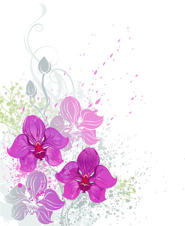 stylized beautiful pink orchid painted bright paint on a white backgroundのイラスト素材