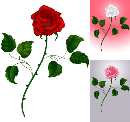 Three options artistically painted roses: red on white background, pink to gray, white to pink.
のイラスト素材