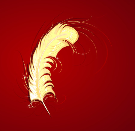 goldish thin feather on a red backgroundのイラスト素材