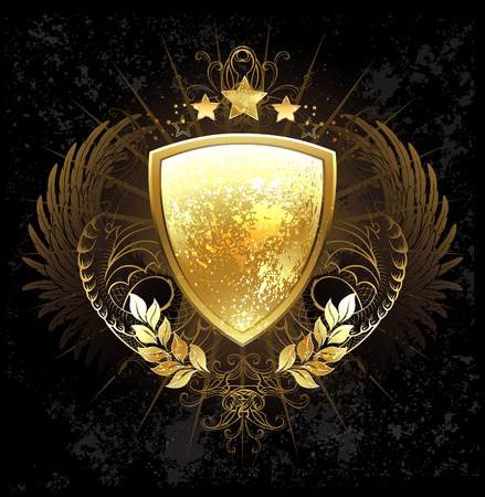 golden shield decorated with a pattern, wings, stars and golden laurel branches on a dark backgroundのイラスト素材
