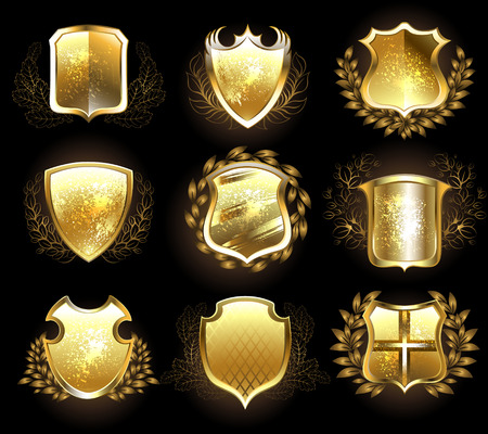 Set of golden shields on a black background.のイラスト素材