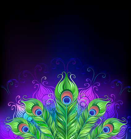 peacock tail on glowing black backgroundのイラスト素材