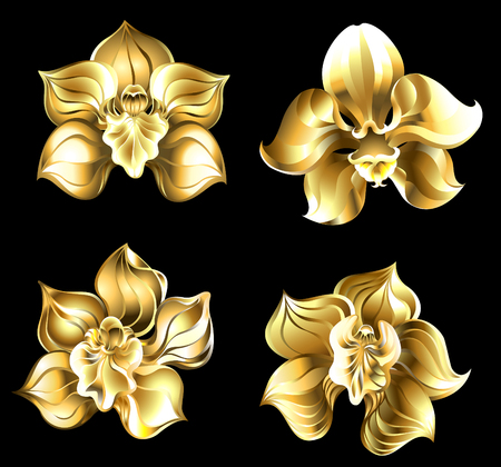 Set of art, jewelry, gold orchids on a black background.のイラスト素材