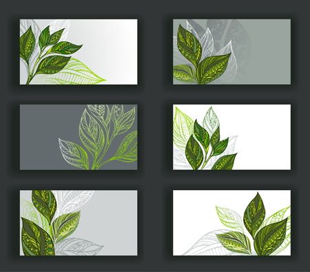 Set of business cards, decorated patterned sprouts and leaves of tea. Tea design.のイラスト素材