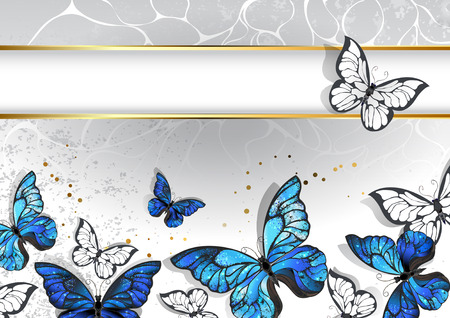 Designed with a narrow, rectangular banner with a gold frame and blue, realistic  butterflies morpho on a light gray background. Design with blue butterflies morpho.のイラスト素材