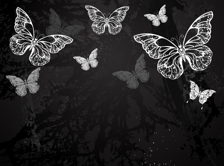 Butterflies painted white chalk on black chalkboard. Design with butterflies. Drawing with chalk. Butterfly morpho.のイラスト素材