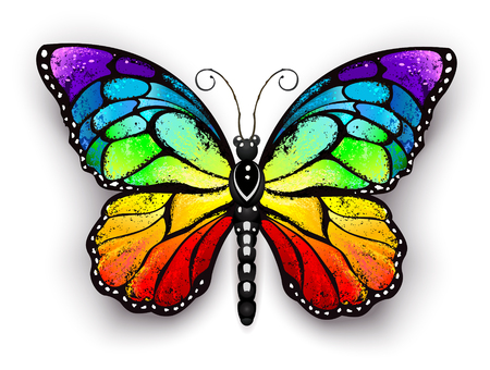 Realistic monarch butterfly in all the colors of the rainbow on a white background. Rainbow butterfly.のイラスト素材