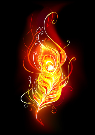 Bright peacock feather made of fire and flame on black background.
のイラスト素材