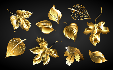 Set of jewelry, gold, shiny, autumn leaves on black background.のイラスト素材