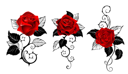 Three artistically painted red roses with black spiny stems and black leaves on white background. Tattoo style.のイラスト素材