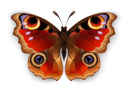 Red, realistic, artistically painted, Butterfly peacock eye on white background.のイラスト素材