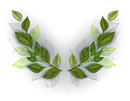 Symmetric pattern of patterned green and gray tea leaves on white background. Tea design.のイラスト素材