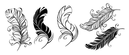 Set of artistic, fluffy, black, bird feathers on white background. Tattoo style.のイラスト素材