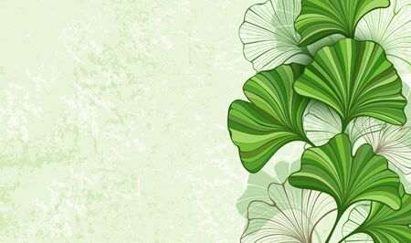 Stylized, green and contour, brown leaves of Ginkgo biloba on green, textured, paper background.  Ginkgo biloba.のイラスト素材