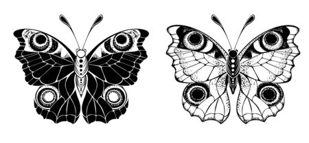 Two stylized, artistic, monochrome, peacock butterflies on white background. Design element.のイラスト素材