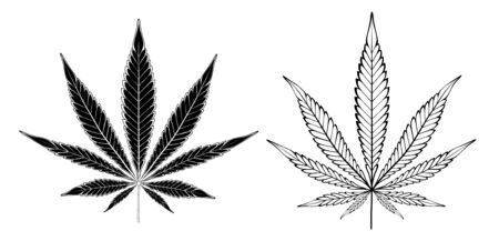 Two isolated, stylized, contour, silhouette, black leaves of hemp on white background.のイラスト素材