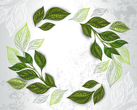 Asymmetric composition of patterned, green, tea leaves on gray textured background.のイラスト素材