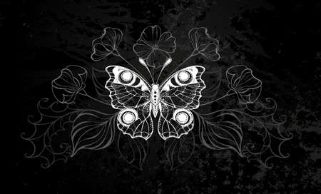 White, contour butterfly peacock with wild plants silhouette flowers on black textured background.のイラスト素材