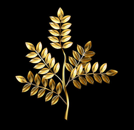 Gold, jewelry sprig on black background.の写真素材