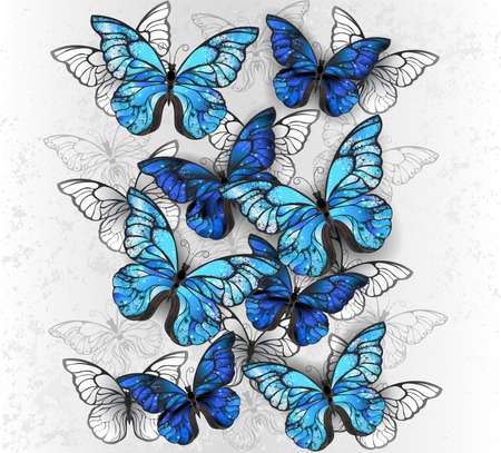Vertical composition of realistic, blue and white morpho butterflies on gray textured background. Morpho.のイラスト素材