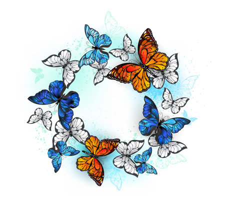 Flying in circle orange monarch, white and detailed blue morpho butterflies on white background. Butterfly.のイラスト素材