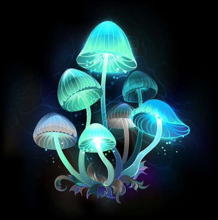 Mysterious, bioluminescent, blue, green toadstools on night, dark, glowing background. Glowing mushrooms.のイラスト素材